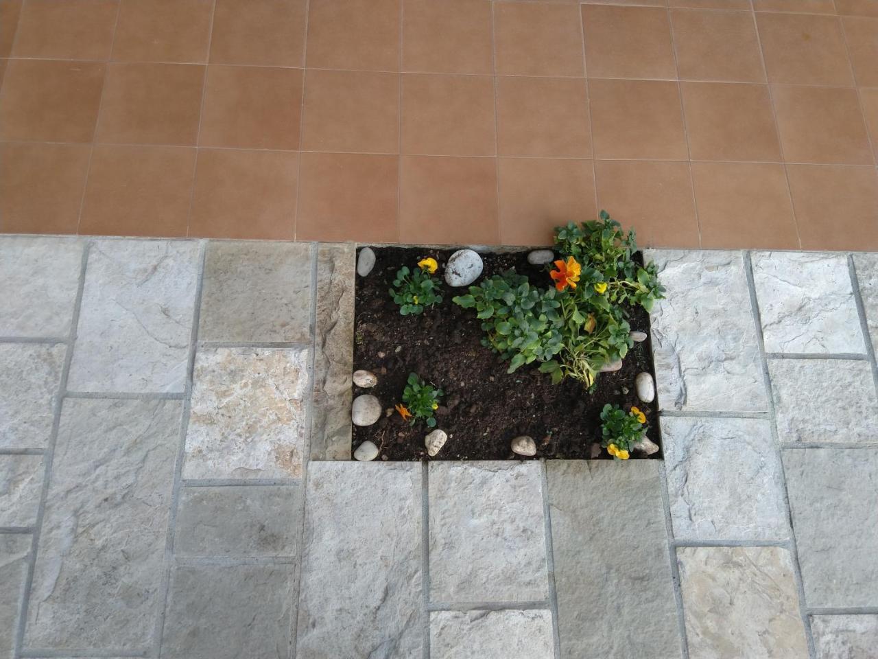 Studio Apartments 6 Palmi Budva Luaran gambar